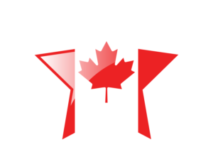 加拿大国旗星图标