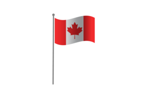 挥舞着加拿大国旗