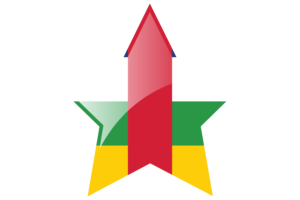 中非国旗星图标