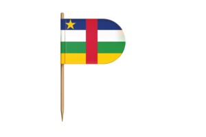 中非国旗桌旗
