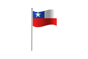 挥舞着智利国旗