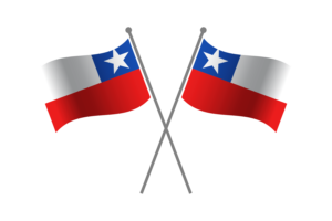 智利友谊旗帜