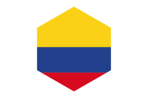哥伦比亚国旗六边形