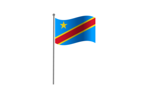挥舞着刚果国旗