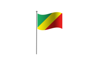 挥舞着刚果布拉柴维尔旗帜