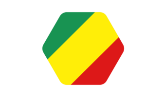 刚果布拉柴维尔旗帜矢量插图