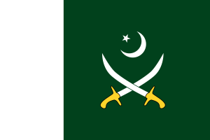 巴基斯坦陆军旗