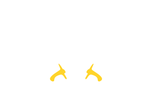 巴基斯坦陆军旗徽章