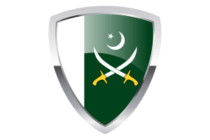 巴基斯坦陆军盾旗