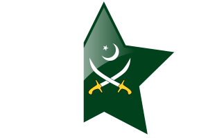 巴基斯坦陆军旗星图标