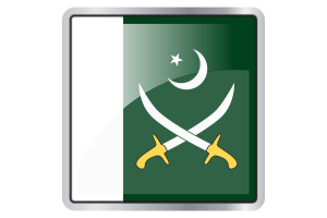 巴基斯坦陆军旗方图标