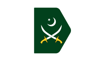 巴基斯坦陆军旗矢量插图