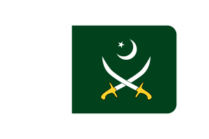 巴基斯坦陆军旗圆角矩形矢量插图