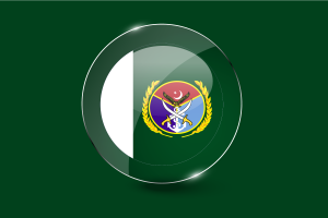 巴基斯坦参谋长联席会议主席旗帜 光面圆形按钮