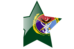 巴基斯坦参谋长联席会议主席 旗帜星图标