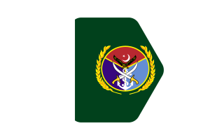 巴基斯坦参谋长联席会议主席旗帜矢量插图