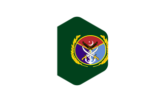 巴基斯坦参谋长联席会议主席旗帜圆形六边形