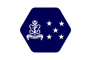巴基斯坦海军元帅旗帜矢量插图