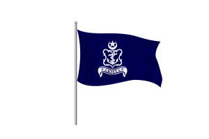 巴基斯坦海军旗帜剪贴画