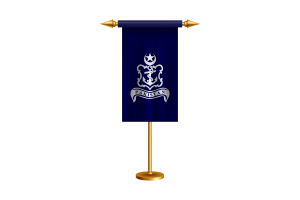 巴基斯坦海军旗矢量免费