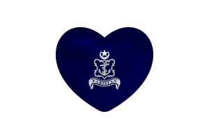 巴基斯坦海军旗心形