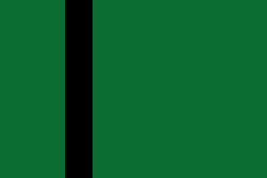 德里苏丹国旗帜