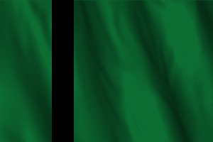 德里苏丹国国旗