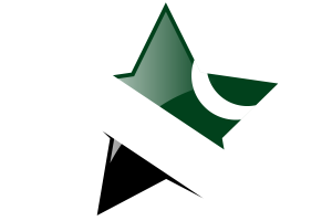 伊斯兰堡旗帜星图标