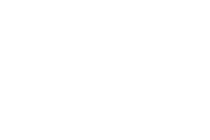 旁遮普邦徽章