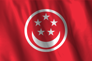 新加坡海旗