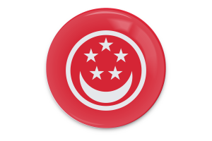 新加坡民船旗矢量艺术