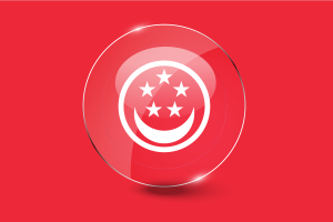 新加坡民船旗光面圆形按钮