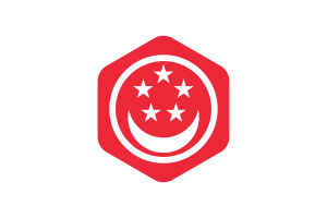 新加坡民船旗圆形六边形