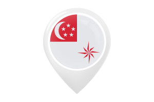 新加坡海军（法定比例） 旗帜地图图钉图标