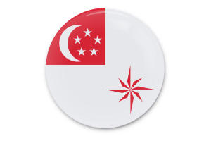 新加坡海军（法定比例） 旗帜矢量艺术
