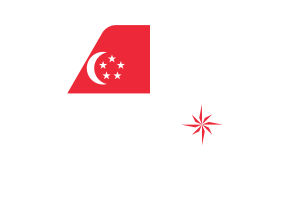 新加坡海军（法定比例） 旗帜矢量插图