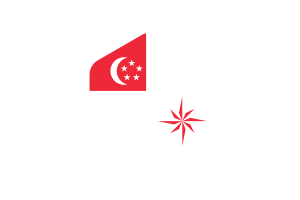 新加坡海军（法定比例） 旗帜圆形六边形