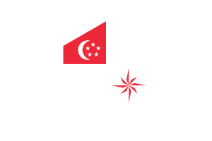 新加坡海军（法定比例） 旗帜六边形