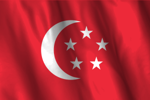 新加坡总统旗