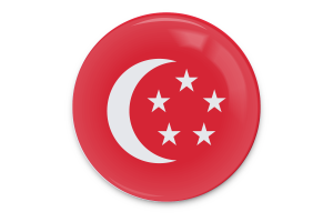 新加坡总统旗矢量艺术