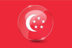 新加坡总统旗光面圆形纽扣