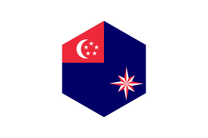 新加坡海防旗帜六边形