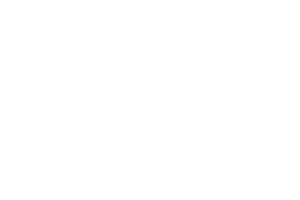 科威特苏拉米徽章