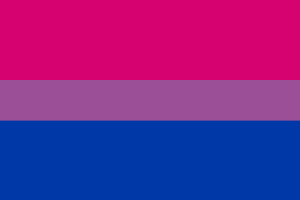 双性恋旗帜