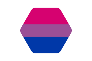 女同性恋和双性恋旗帜