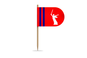 伏尔加格勒州旗帜桌旗