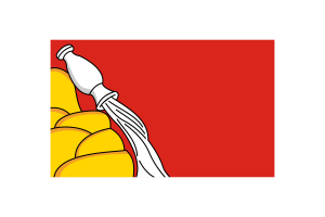 沃罗涅日旗帜矢量插图