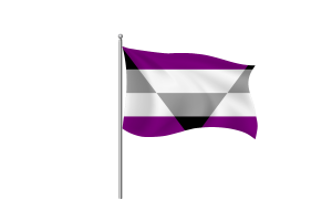 异性恋旗帜符号