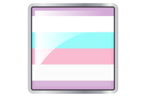 双性旗方形图标
