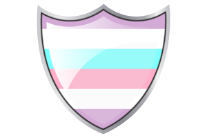 盾牌与双性恋旗帜